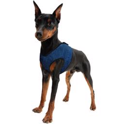 Hunde Køle Sele Comfy Design Pacific Blue